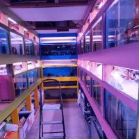 D D Fish & Pets ico