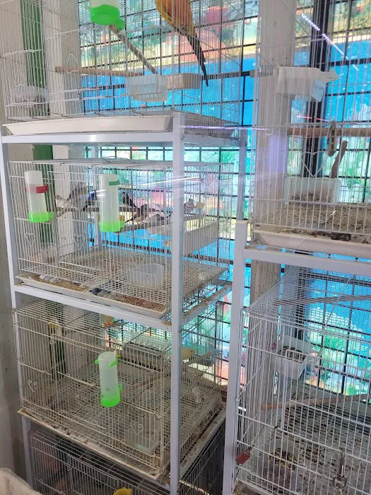 D D Fish & Pets 12