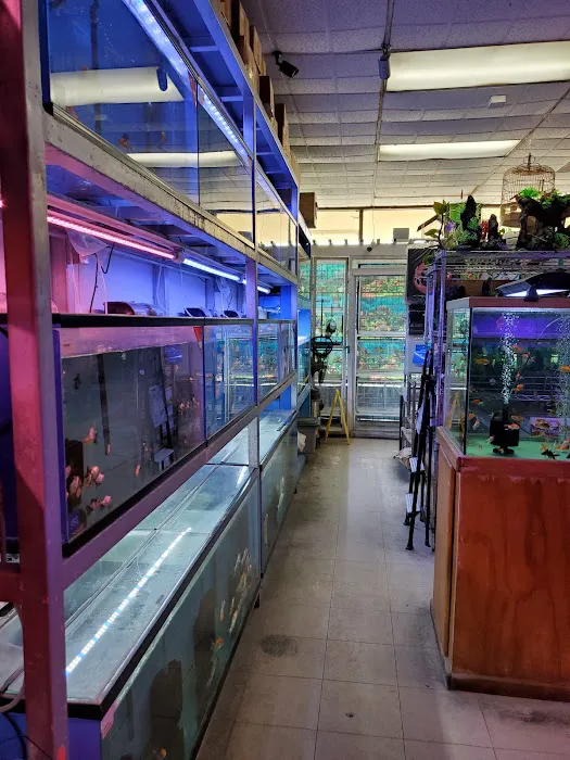 D D Fish & Pets 12