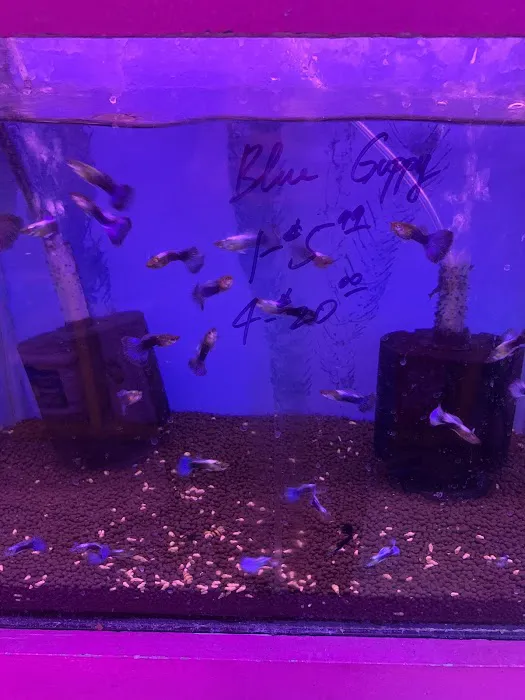 D D Fish & Pets 12