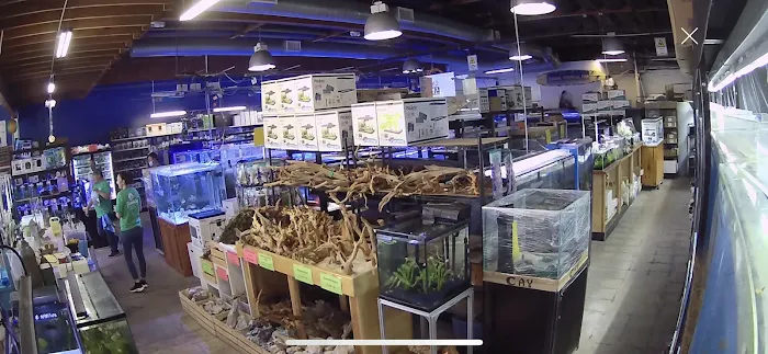 Seaside Tropical Fish 12