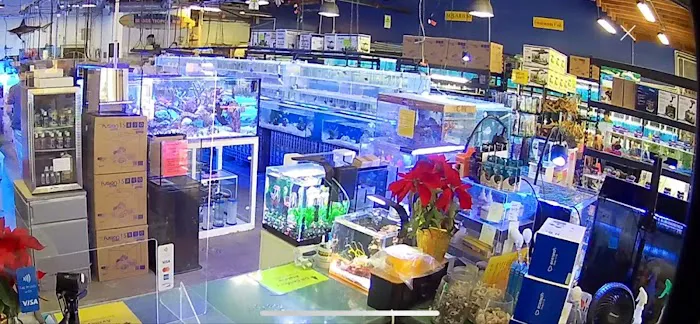 Seaside Tropical Fish 12