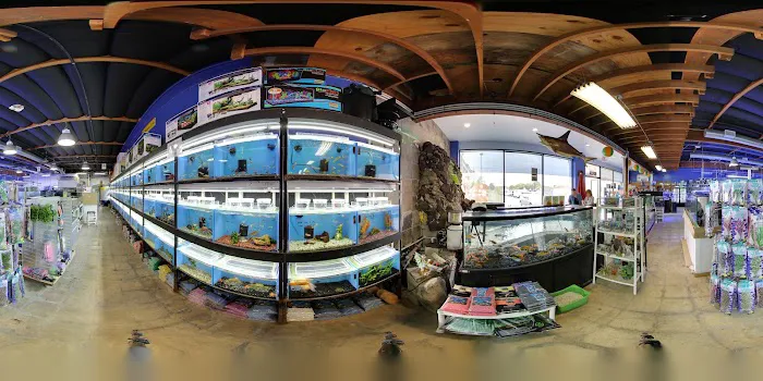Seaside Tropical Fish 12