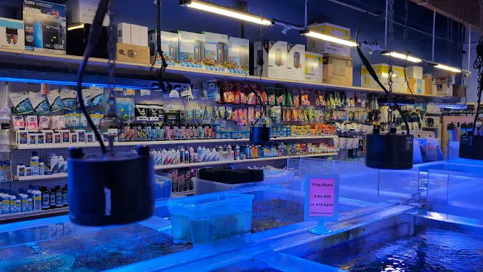 Seaside Tropical Fish 12