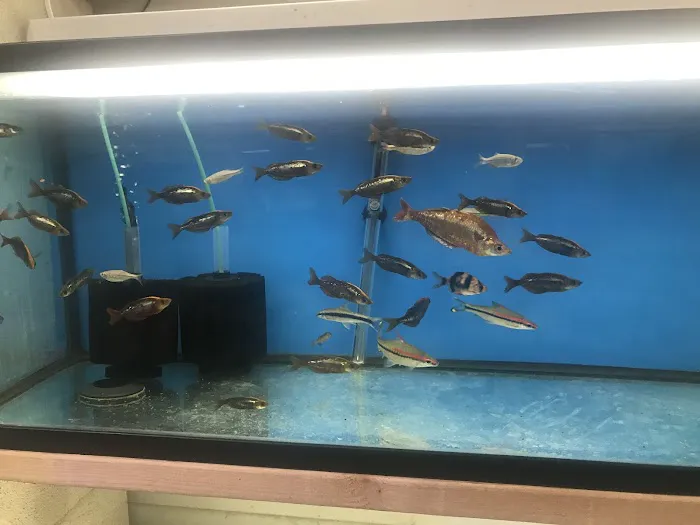 Nolan's Aquarium 12
