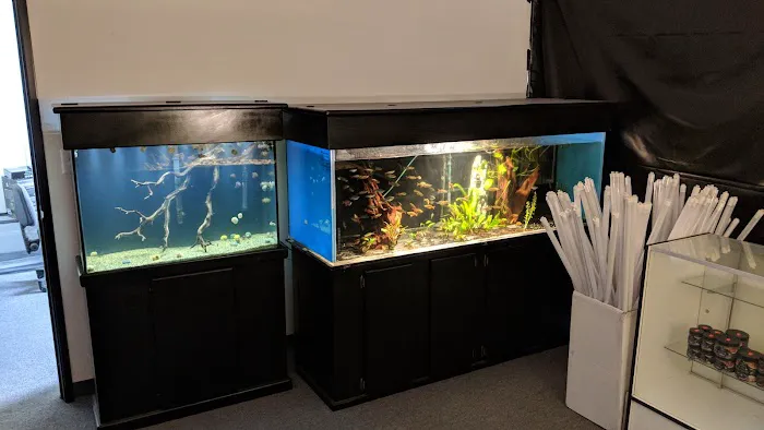 Nolan's Aquarium 12