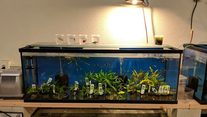 Nolan's Aquarium 12