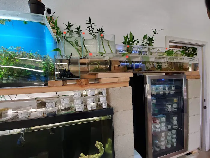 Nolan's Aquarium 12