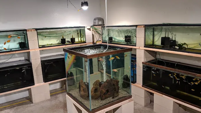 Nolan's Aquarium 12