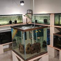 Nolan's Aquarium ico