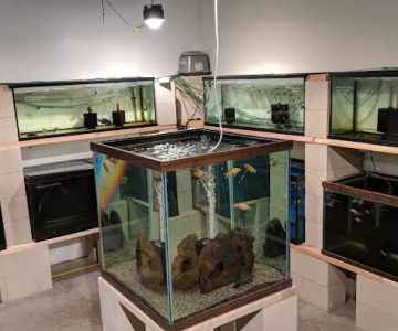 Nolan's Aquarium