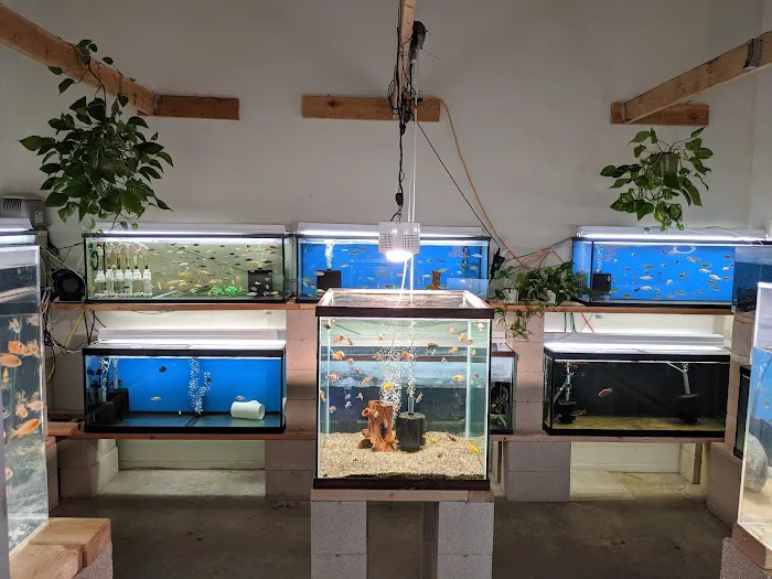 Nolan's Aquarium 12