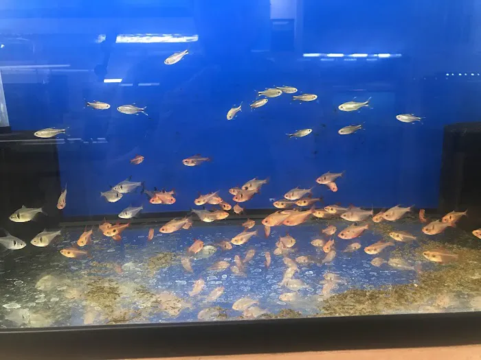 Nolan's Aquarium 12