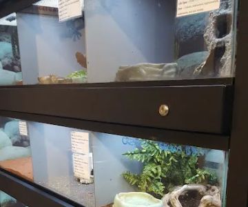Super Pets
