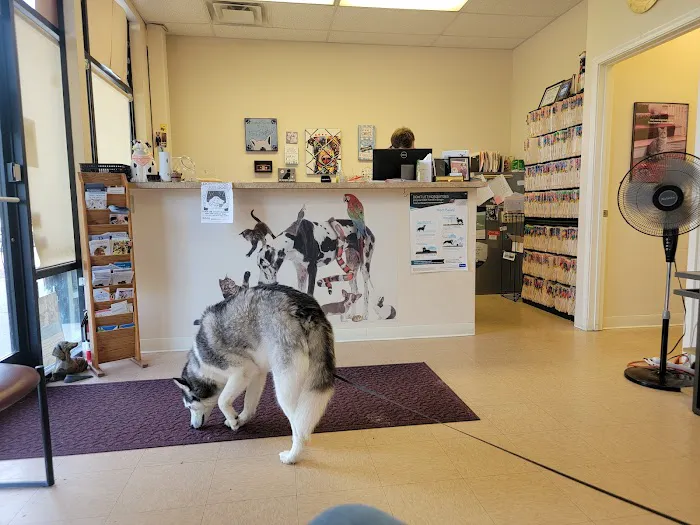 Shelby Street Veterinary Hospital 12