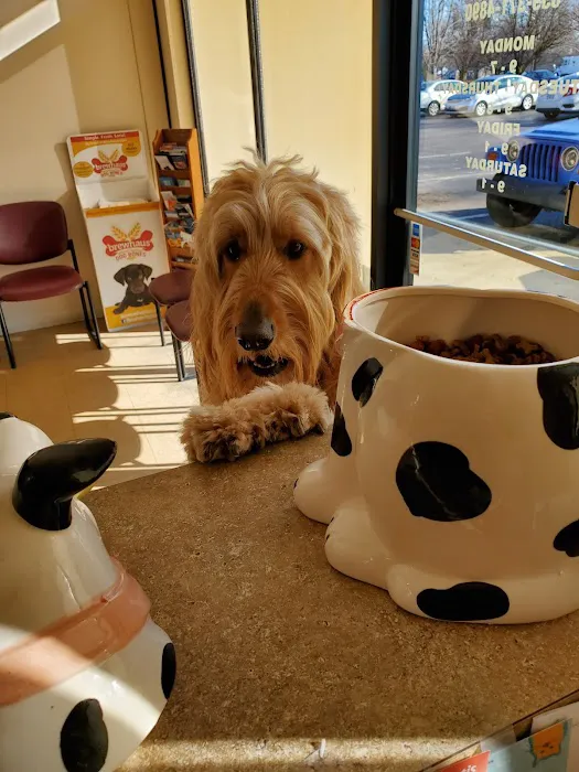 Shelby Street Veterinary Hospital 12