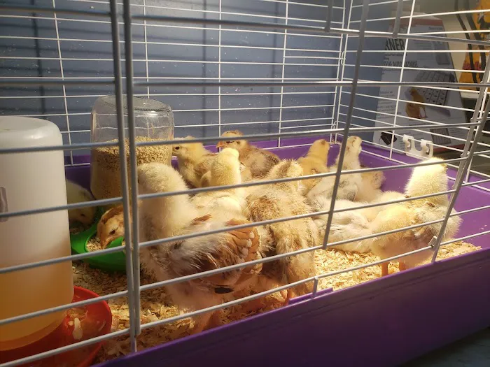 Wagon Train Feed & Pet 12