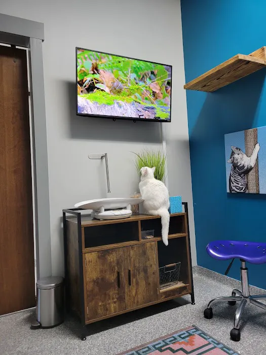 PetVet365 Pet Hospital Florence 7