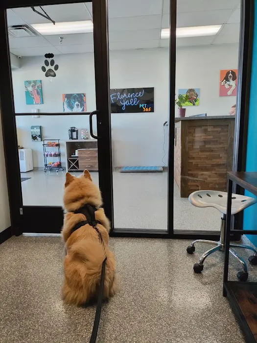 PetVet365 Pet Hospital Florence 1