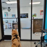 PetVet365 Pet Hospital Florence ico