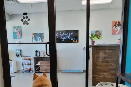 PetVet365 Pet Hospital Florence