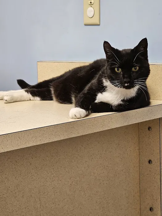 Covedale Pet Hospital 12