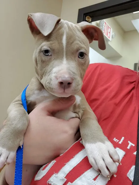 Covedale Pet Hospital 12