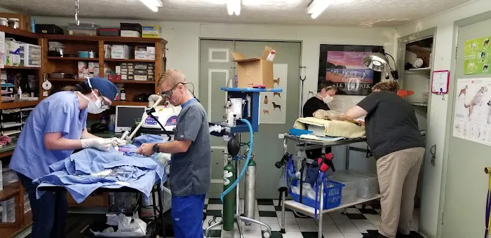 Corydon Animal Hospital 12