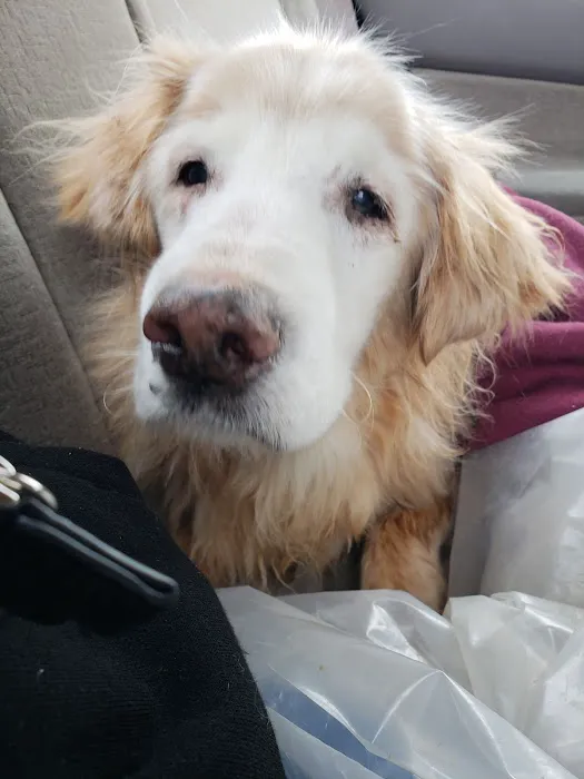 Corydon Animal Hospital 12