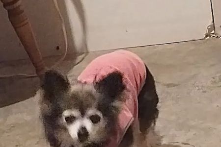 Corydon Animal Hospital