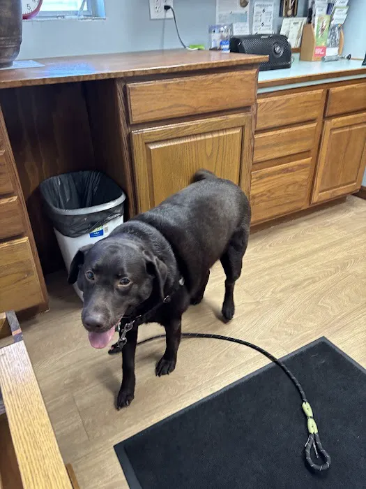 Corydon Animal Hospital 12