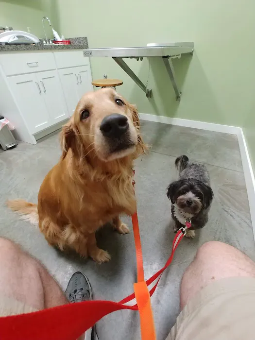 Georgetown Veterinary Clinic 12