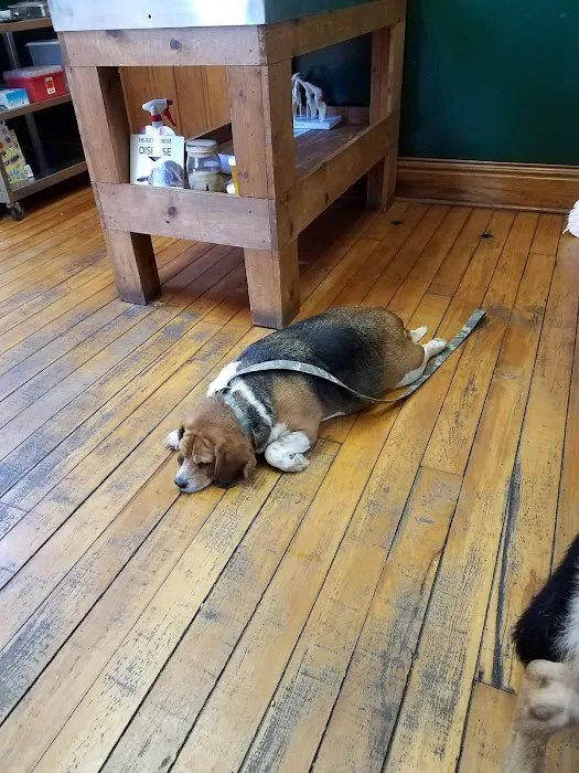 Georgetown Veterinary Clinic 12