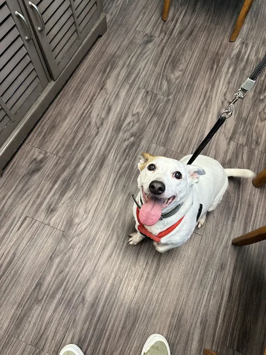 Unleashed Veterinary Care 12