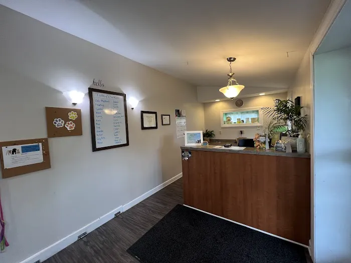 Unleashed Veterinary Care 12