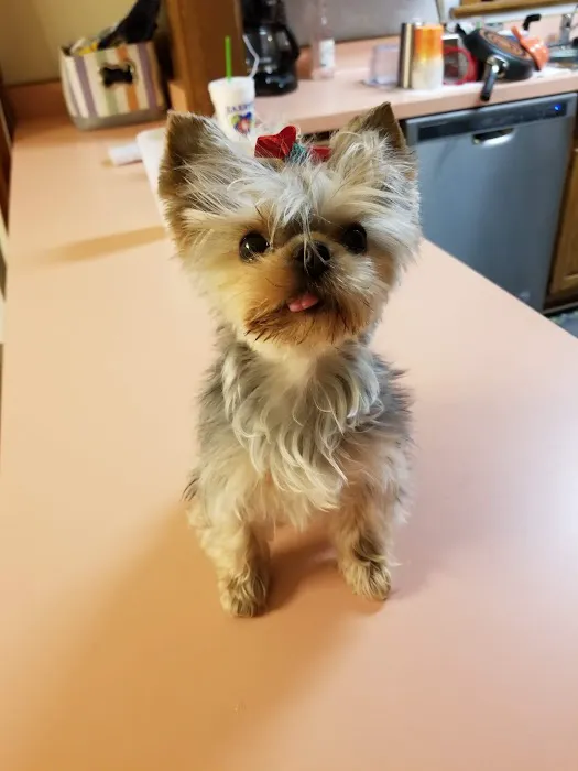 Edwardsville Animal Clinic 12