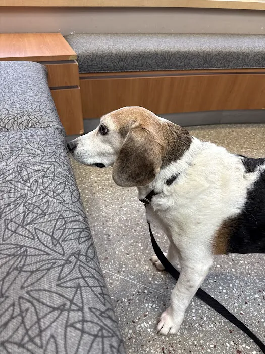 Hillside Animal Clinic 12