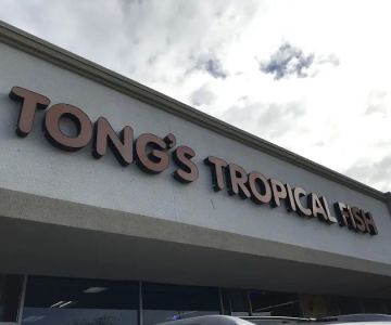 Tong's Tropical Fish & Pets
