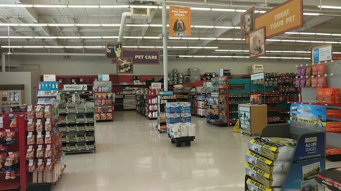 Petco 2