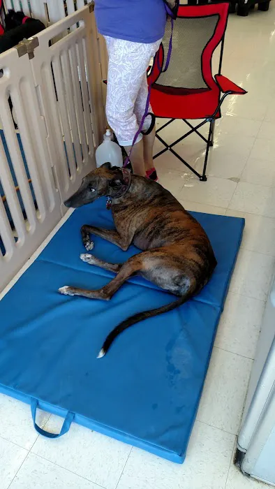 Petco 9