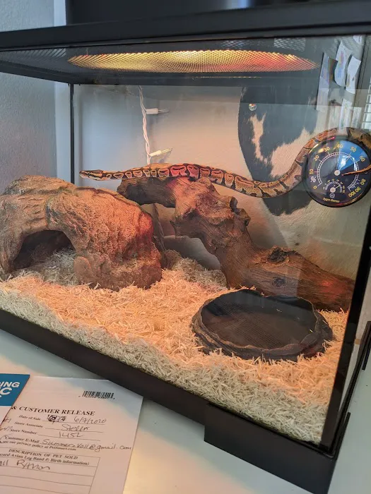Petco 1