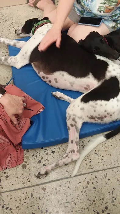 Petco 7