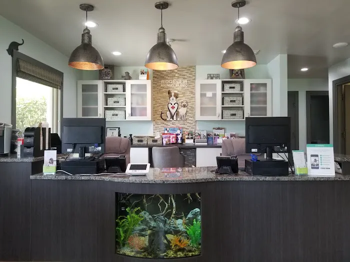 Ridgeview Animal Clinic 12