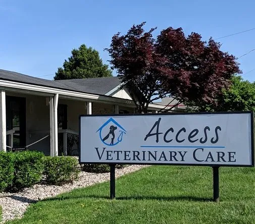 Access Veterinary Care 12