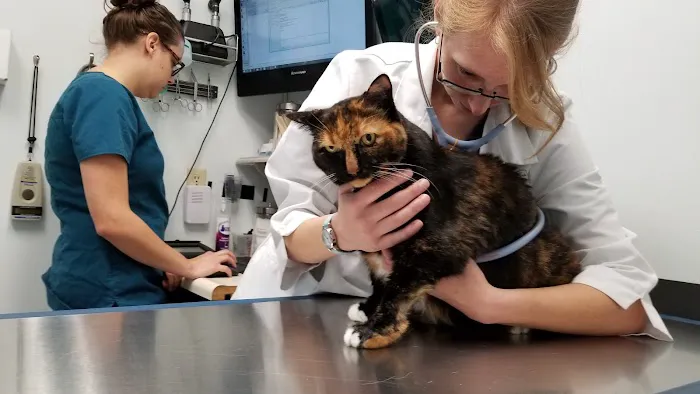 Access Veterinary Care 12