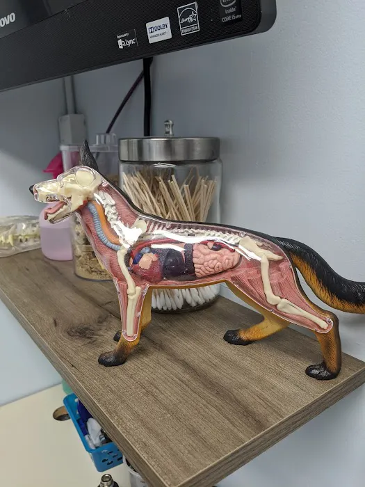 Access Veterinary Care 12