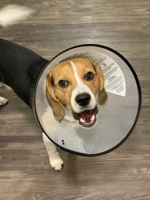 Latimer Animal Hospital, LLC 12