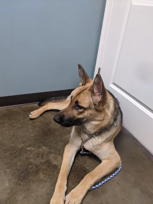Latimer Animal Hospital, LLC 12