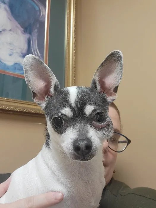Latimer Animal Hospital, LLC 12