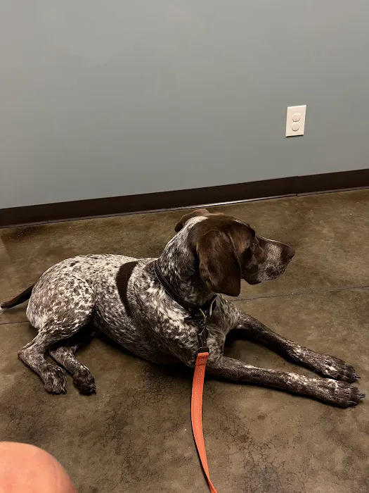 Latimer Animal Hospital, LLC 12